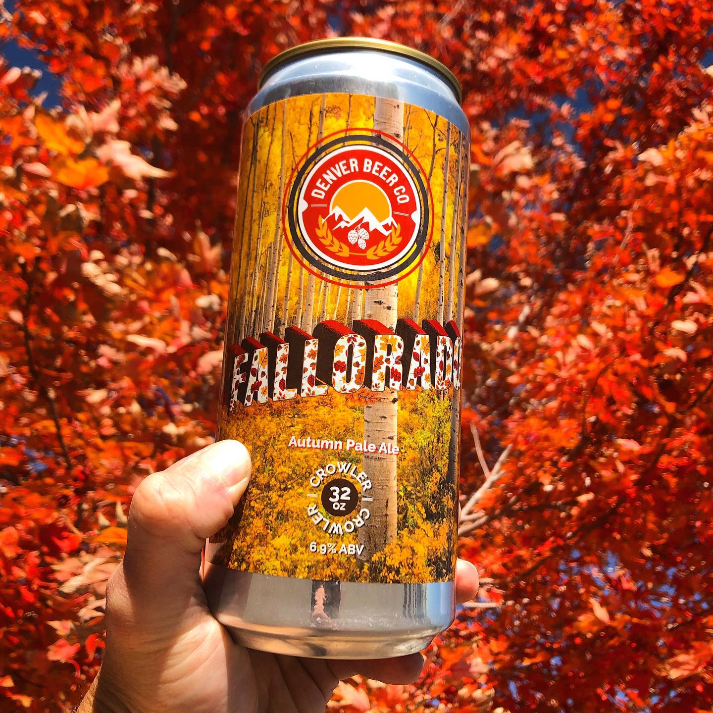 ⁣Don't stop be-leafing. ⁣Now available at all of our taprooms on tap and in super limited Crowlers: A celebration of all things fall. ⠀Fallorado is a deep auburn American Pale Ale brewed with classic Cascade and Chinook hops. Grab a crowler, a comfy sweater and head out to the mountains to peep some golden fall goodness. Fallorado is a hop-forward pale ale offering subtle citrus fruitiness backed up by a rich malty sweetness. Just like fall in Colorado this beer won't last long, get it before all the aspen leaves are gone! 6.9% ABV⠀⠀⠀⠀Pre-order your crowler for pickup at any of our taprooms at shop.denverbeerco.com!