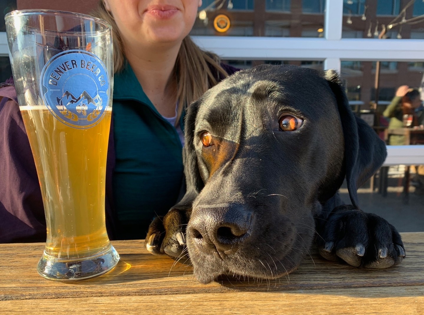 Can I haz dis? ⁠⁠Nothing beats going for a beer with your best friend