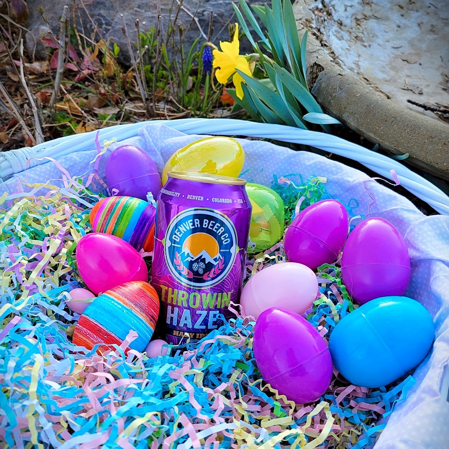 So the Easter Bunny walks into the taproom and says, "I'll take a Hoppy one."