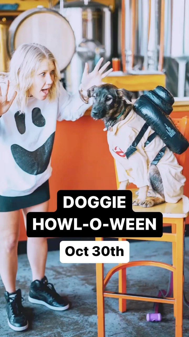 DOGGIE HOWL-O-WEEN is making a return at all 3 DBC taprooms! Dress up your dog (and yourself), enjoy a few beers, and get ready for a doggone scary good time. Prizes will be awarded so ya better bring it!Oct 30thAll 3 DBC taproomsFree Entry! Visit the link in our bio for more info......