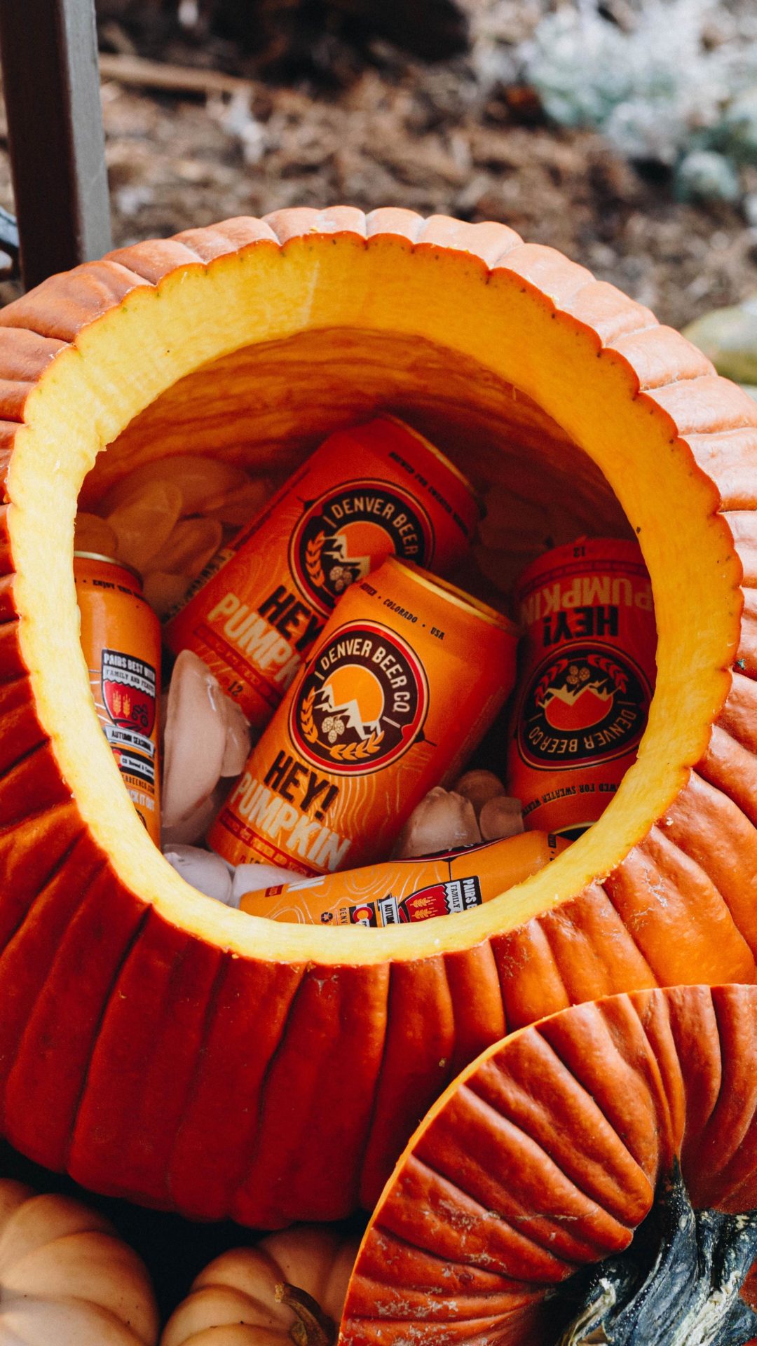 Feeling inspired? Take your pumpkin decorating skills to the next level at our Pumpkin Patch and Painting Party. October 15th from 12-6pm All 3 of our DBC taprooms🎟️ Purchase tickets at the link in our bio.....