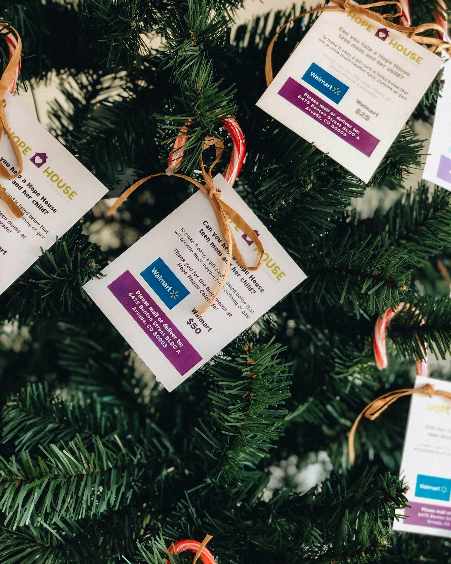 There’s still time to pick up a donation tag from our @HopeHousecolorado Christmas Trees. Each tag will support a teen mom in our community by helping them give their child a special Christmas gift. Hope House Christmas trees are at all 3 DBC taprooms Drop off your donations at our taprooms by December 22nd or mail them to the address on your tag.