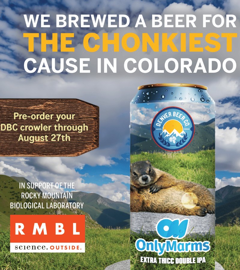 Denver Beer Co Image
